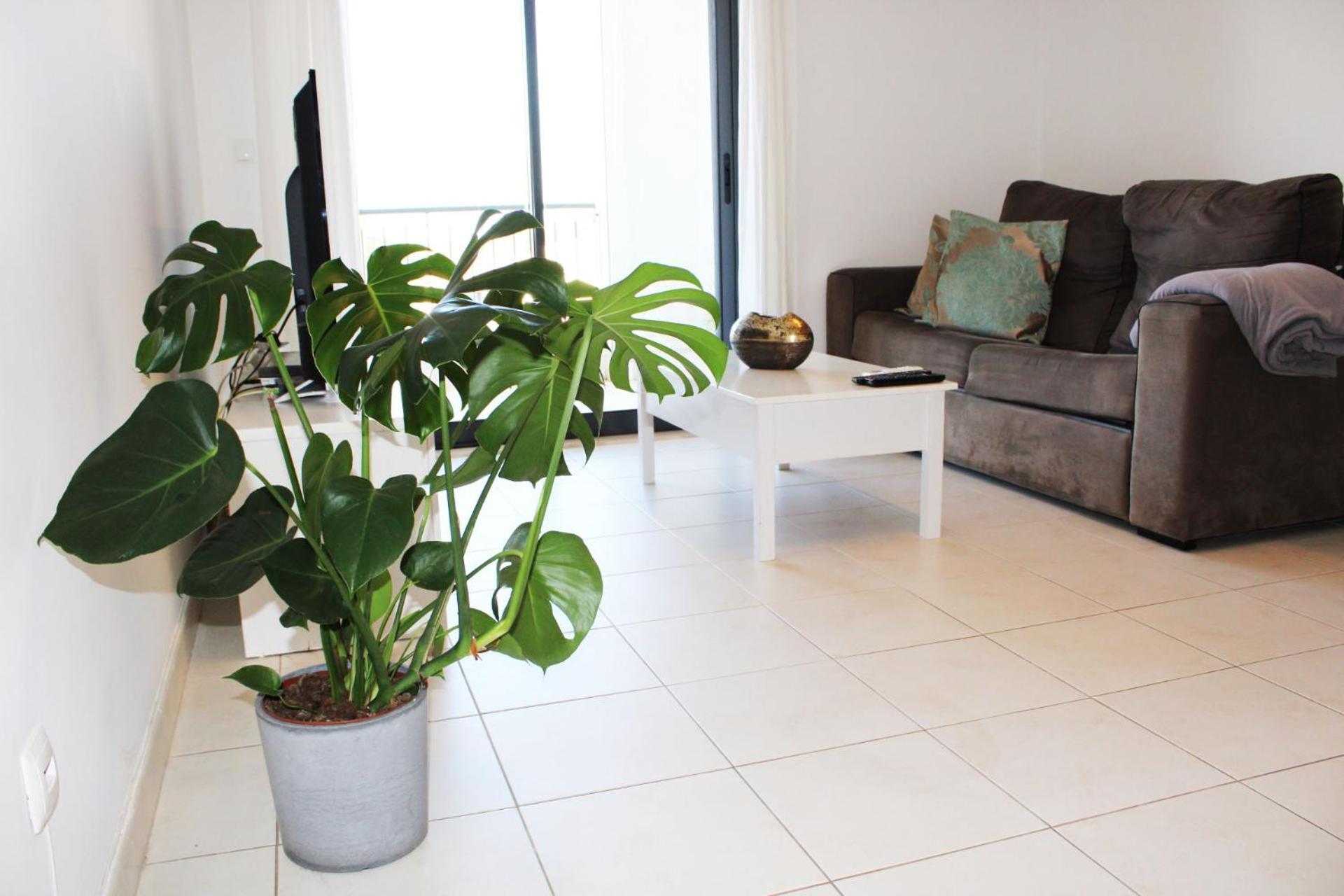 Apartment With Terrace Albufeira Olhos De Agua Экстерьер фото